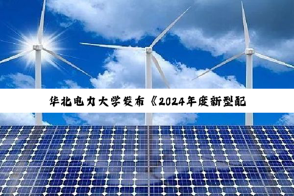 华北电力大学发布《2024年度新型配售电发展蓝皮书》